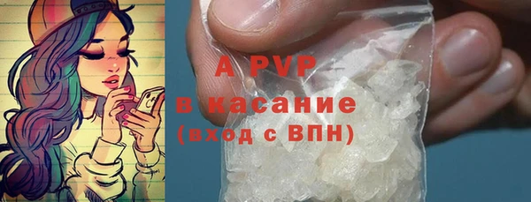ГАЛЛЮЦИНОГЕННЫЕ ГРИБЫ Кулебаки